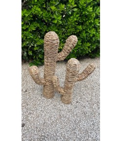 Cactus Fibra Natural Grande_2