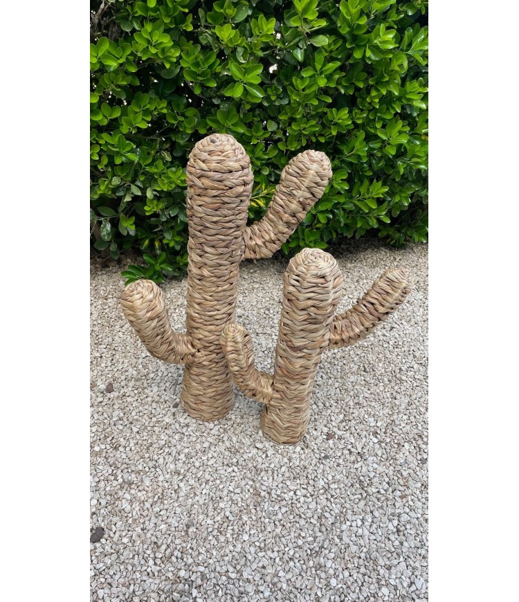 Cactus Fibra Natural Grande_2