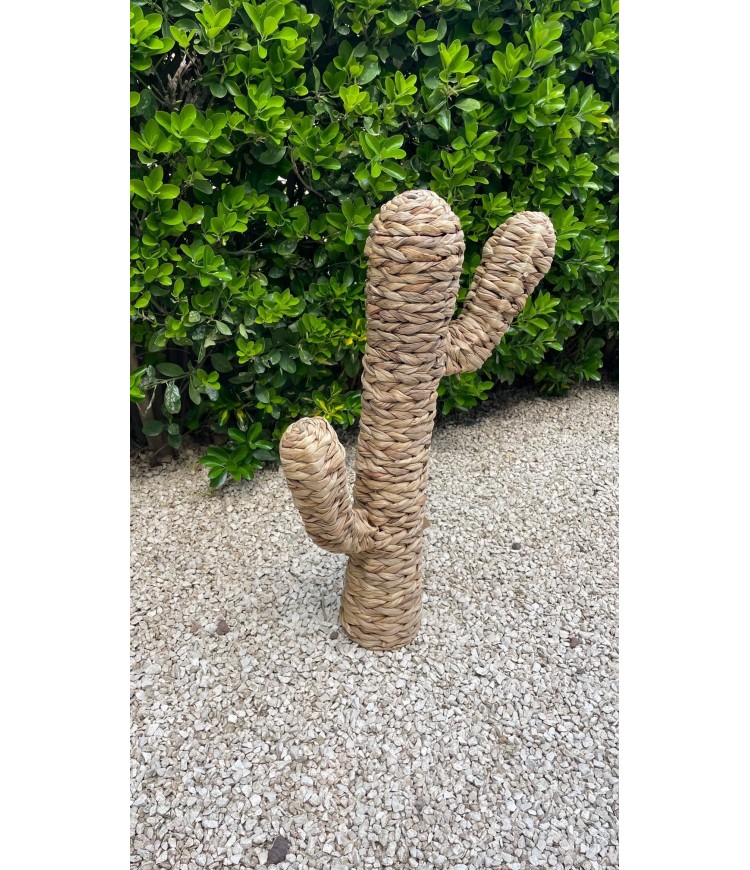Cactus Fibra Natural Pequeño