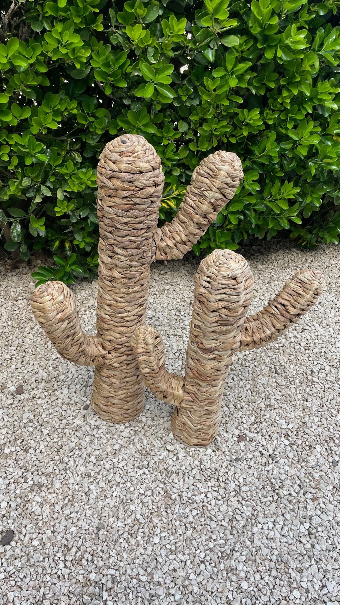 Cactus Fibra Natural Grande